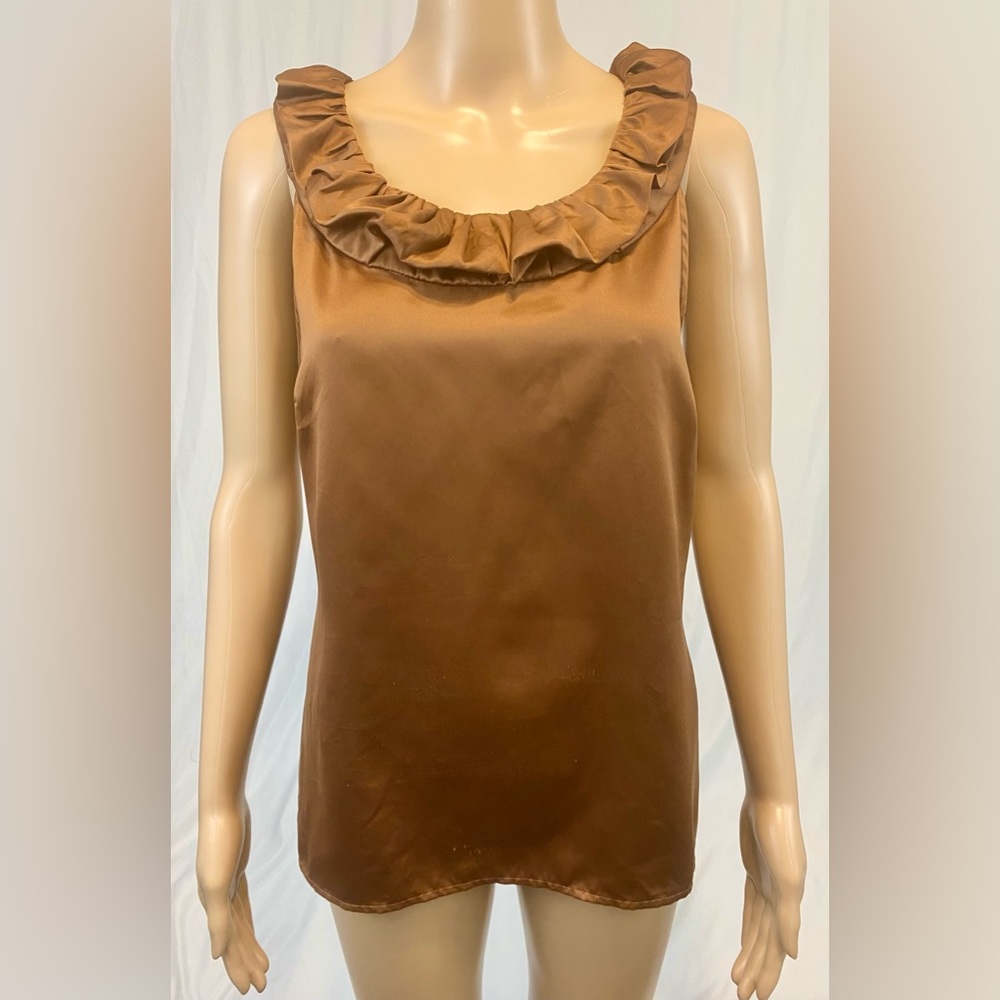 The Limited Brown Ruffle Top
Size: Medium
Fabric: 100% Polyester